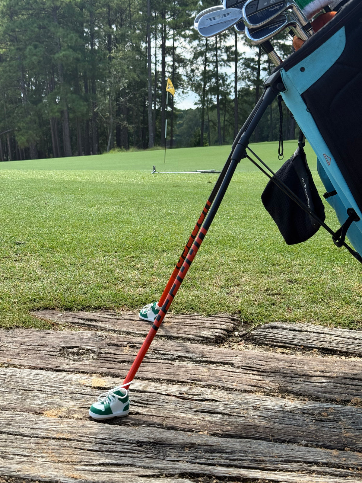 What Are Golf Bag Shoes?