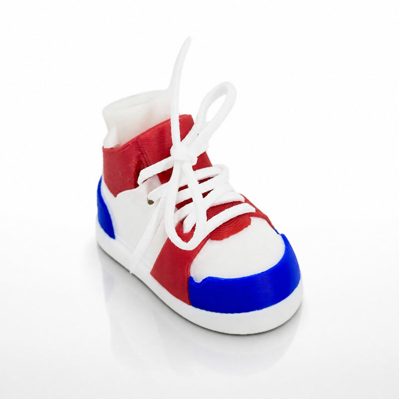 Red, White & Blue Shoe Pair